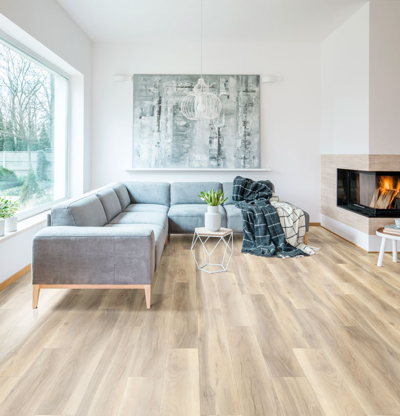 Decorative Hardwood Floor Room Scene
